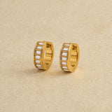 Delicate Earrings