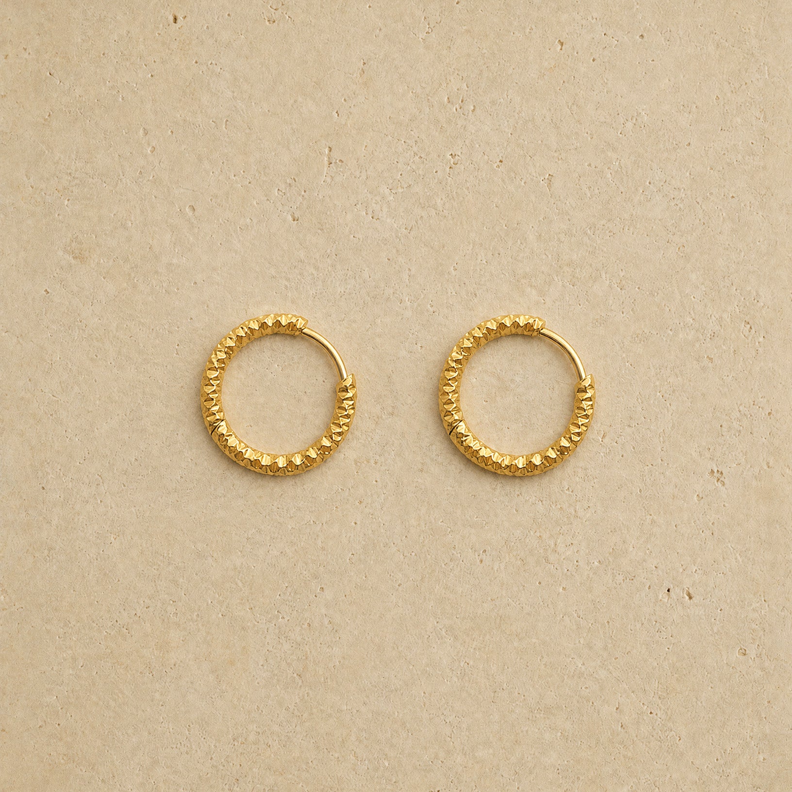 Elegance Hoop Earrings