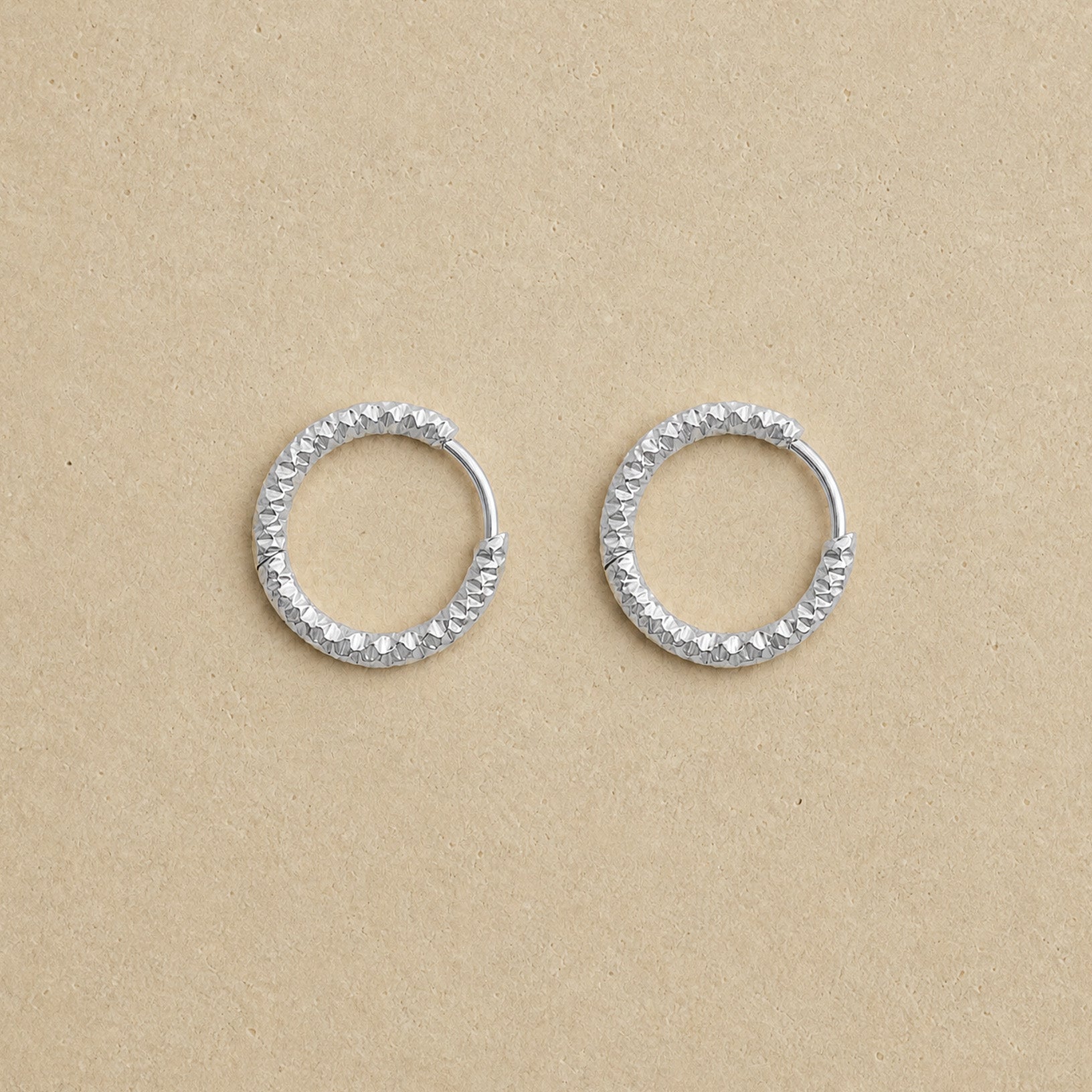 Elegance Hoop Earrings