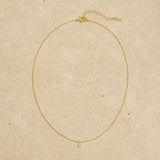 Naked Diamond Necklace
