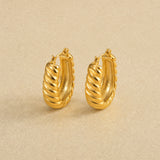 Oval Twisted Earrings
