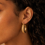 Oval Twisted Earrings