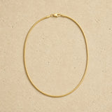 Sleek Snake Chain Necklace