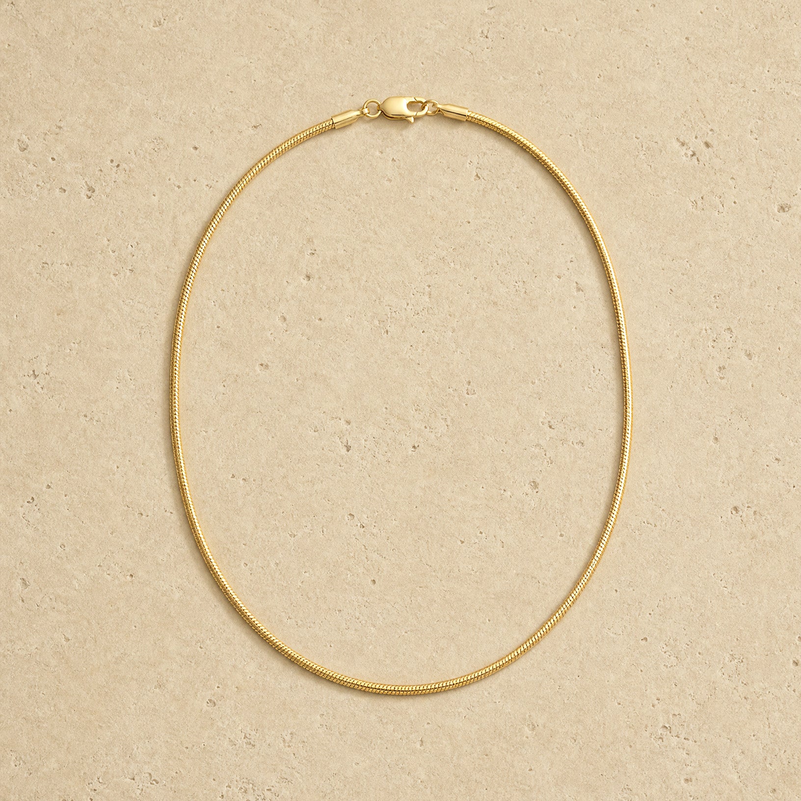 Sleek Snake Chain Necklace
