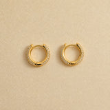 Sparkle Hoop Earrings